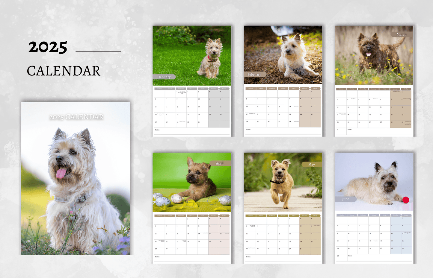 Cairn Terrier Calendar 2025