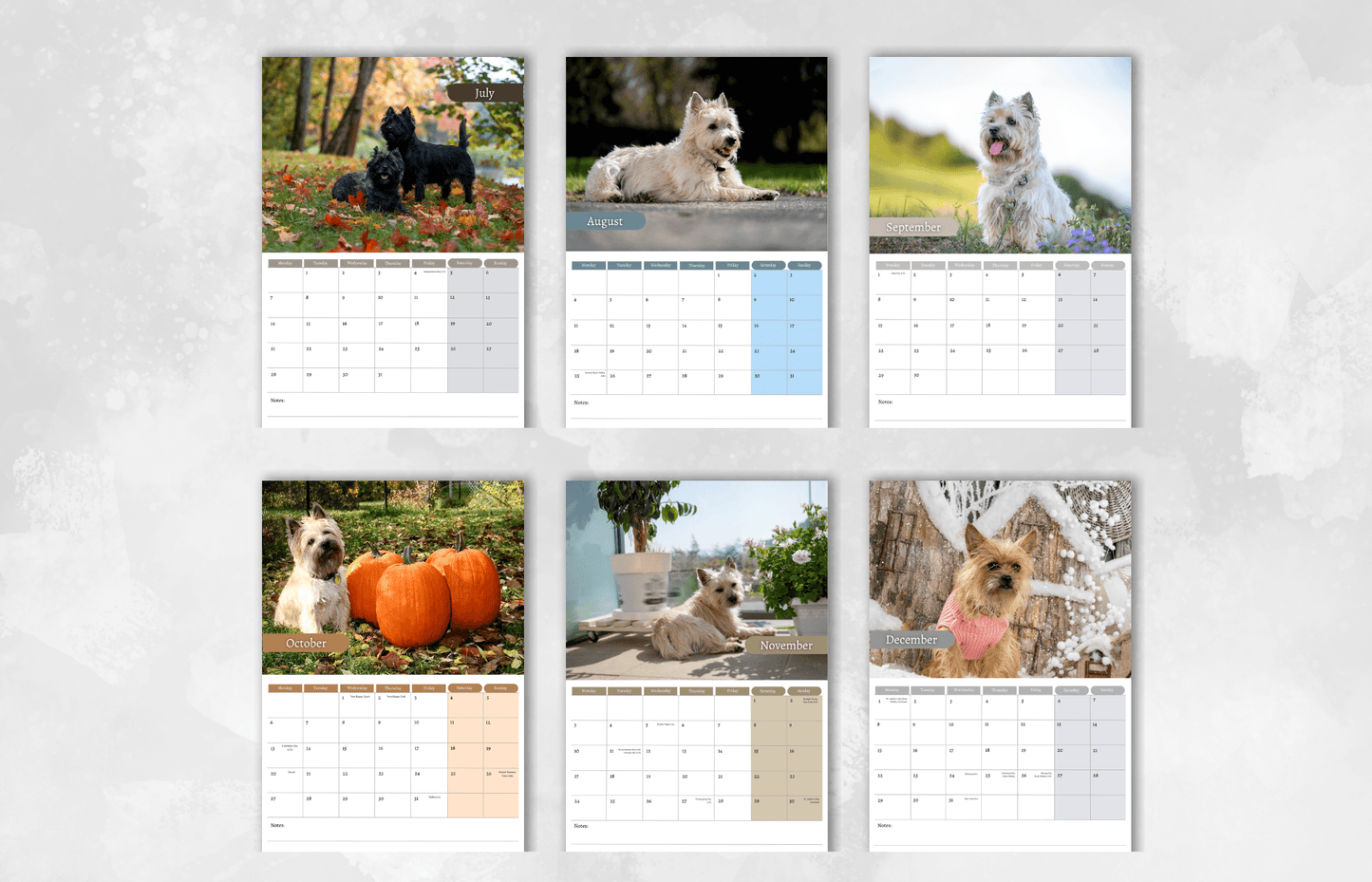 Cairn Terrier Calendar 2025