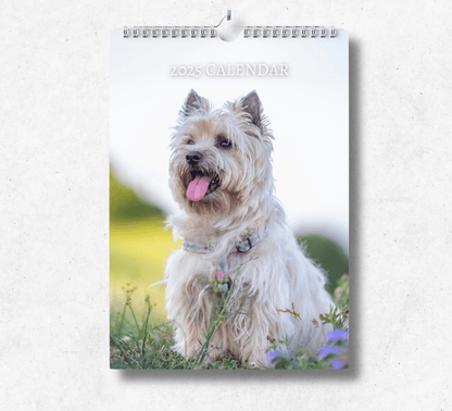 2025 Cairn Terrier calendar featuring a majestic cairn terrier sitting and panting in a grass field. 