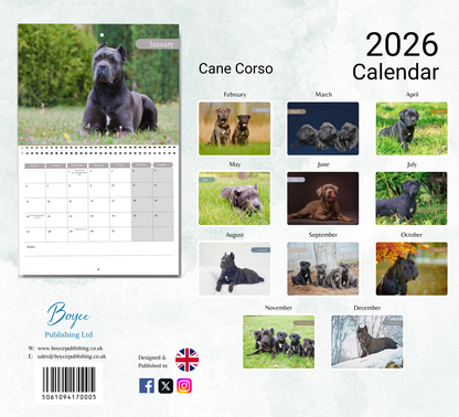 Cane Corso Calendar 2026