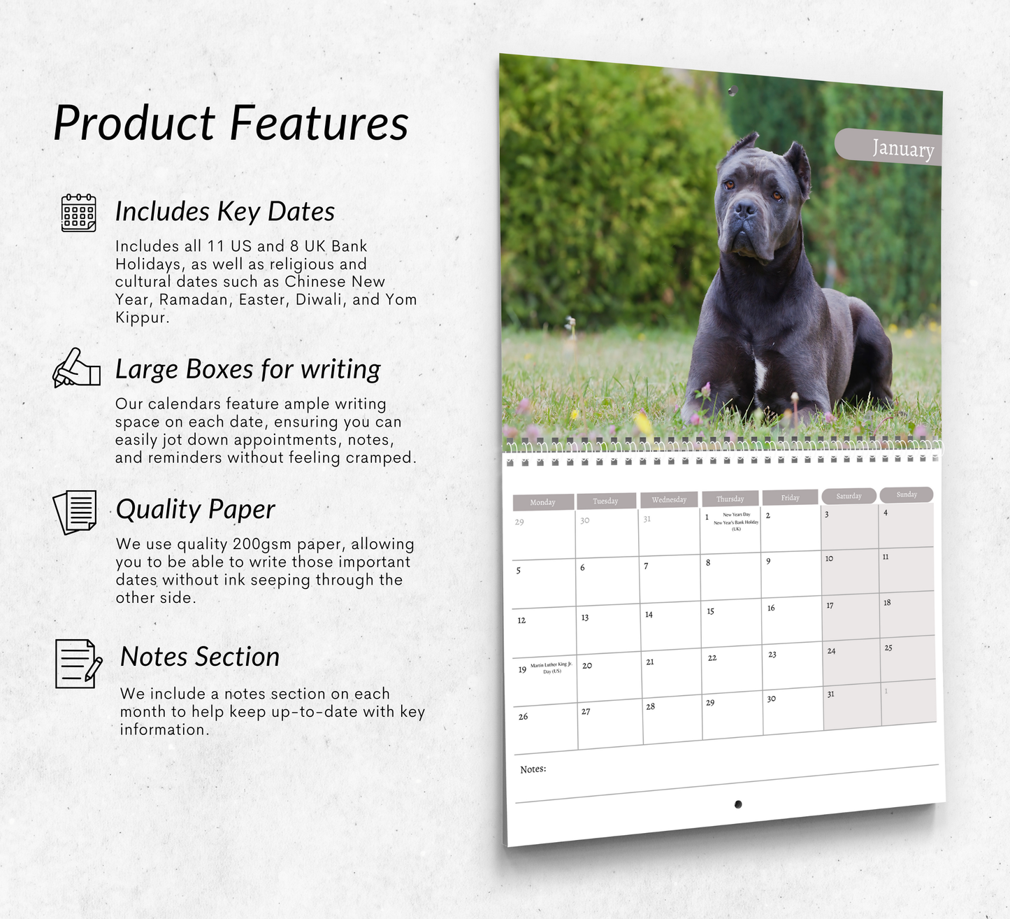 Cane Corso Calendar 2026
