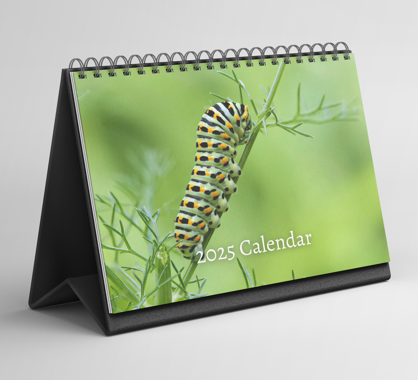 Caterpillar Desk Calendar 2025