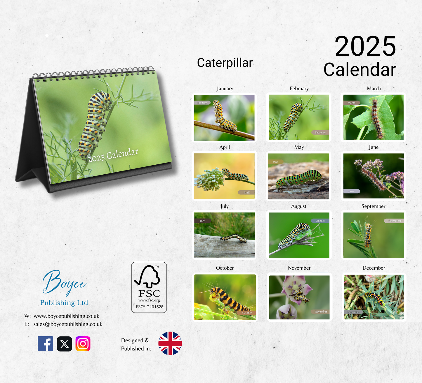 Caterpillar Desk Calendar 2025