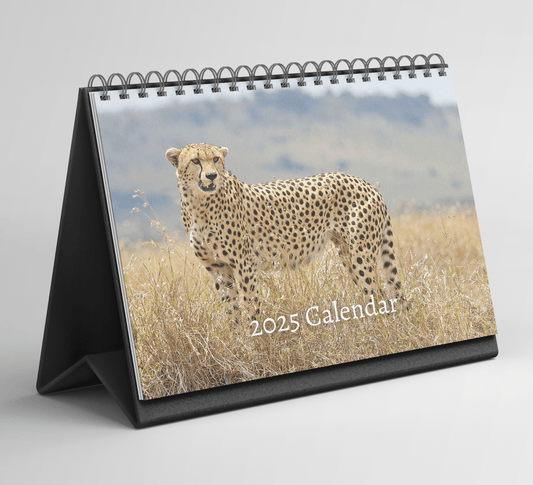 Cheetah Desk Calendar 2025