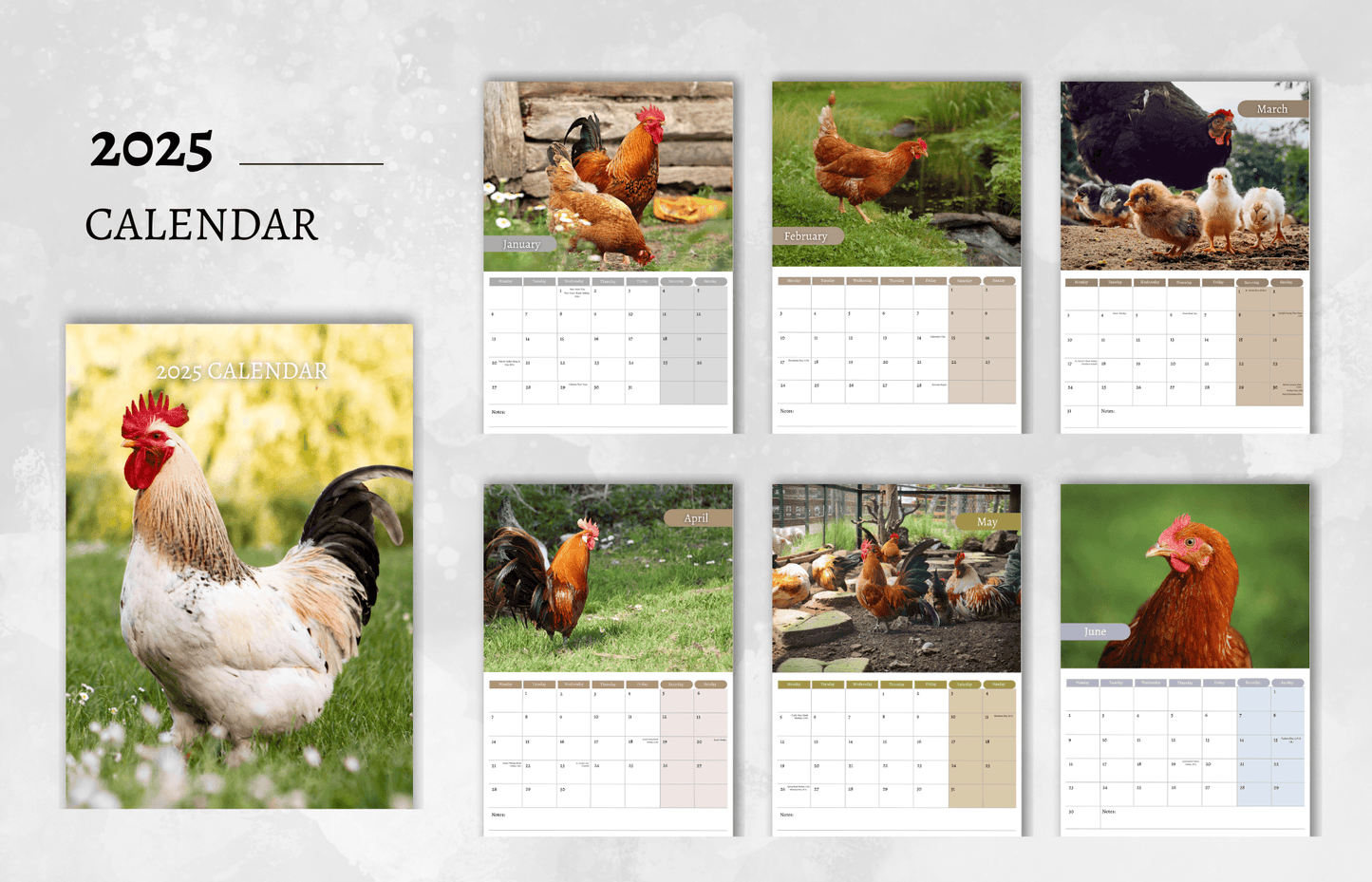 Chicken Calendar 2025