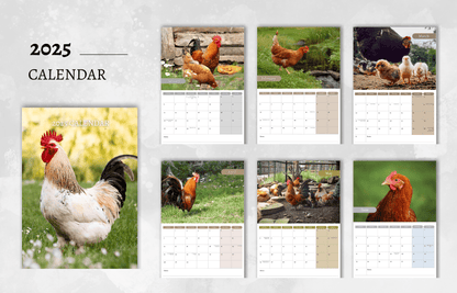 Chicken Calendar 2025