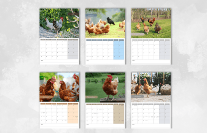 Chicken Calendar 2025