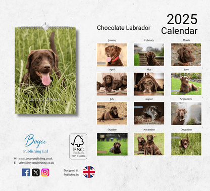 Chocolate Labrador Calendar 2025