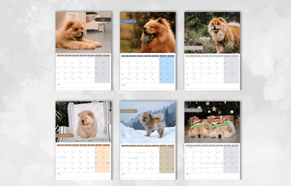 Chow Chow Calendar 2025