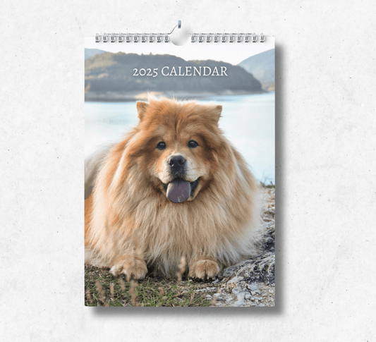 2025 chow chow calendar featuring a gorgeous light brown chow chow laying down in front of a scenic lake backdrop.