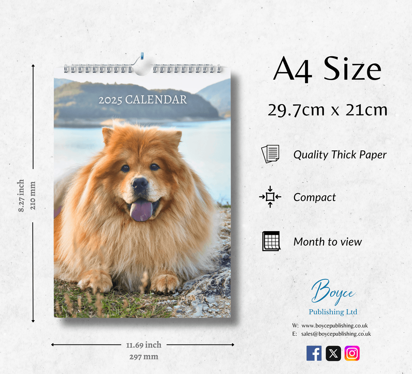 Chow Chow Calendar 2025