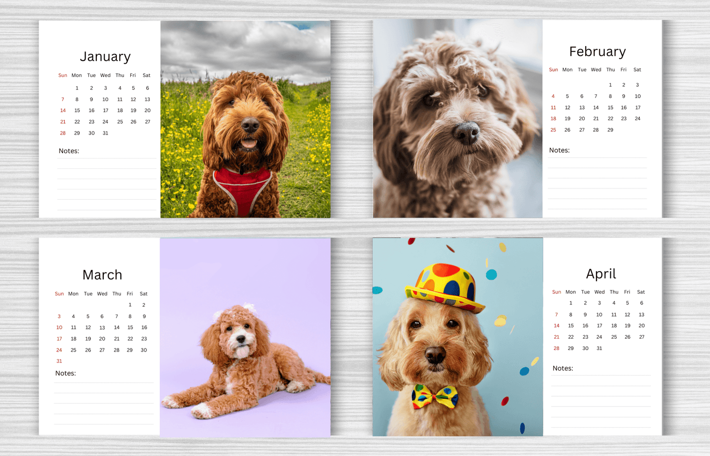 Cockapoo Desk Calendar 2025