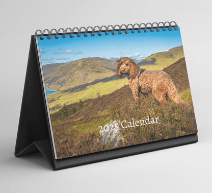 Cockapoo Desk Calendar 2025