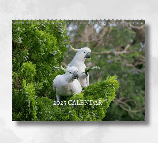 2025 Cockatoo calendar featuring an image of two white cockatoos in a green tree.