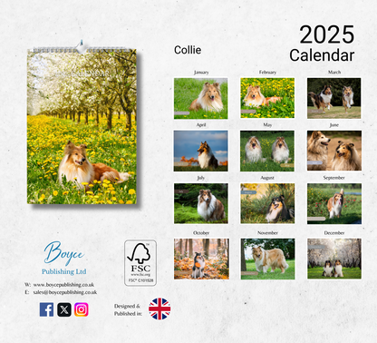 Collie Calendar 2025