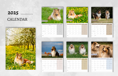 Collie Calendar 2025