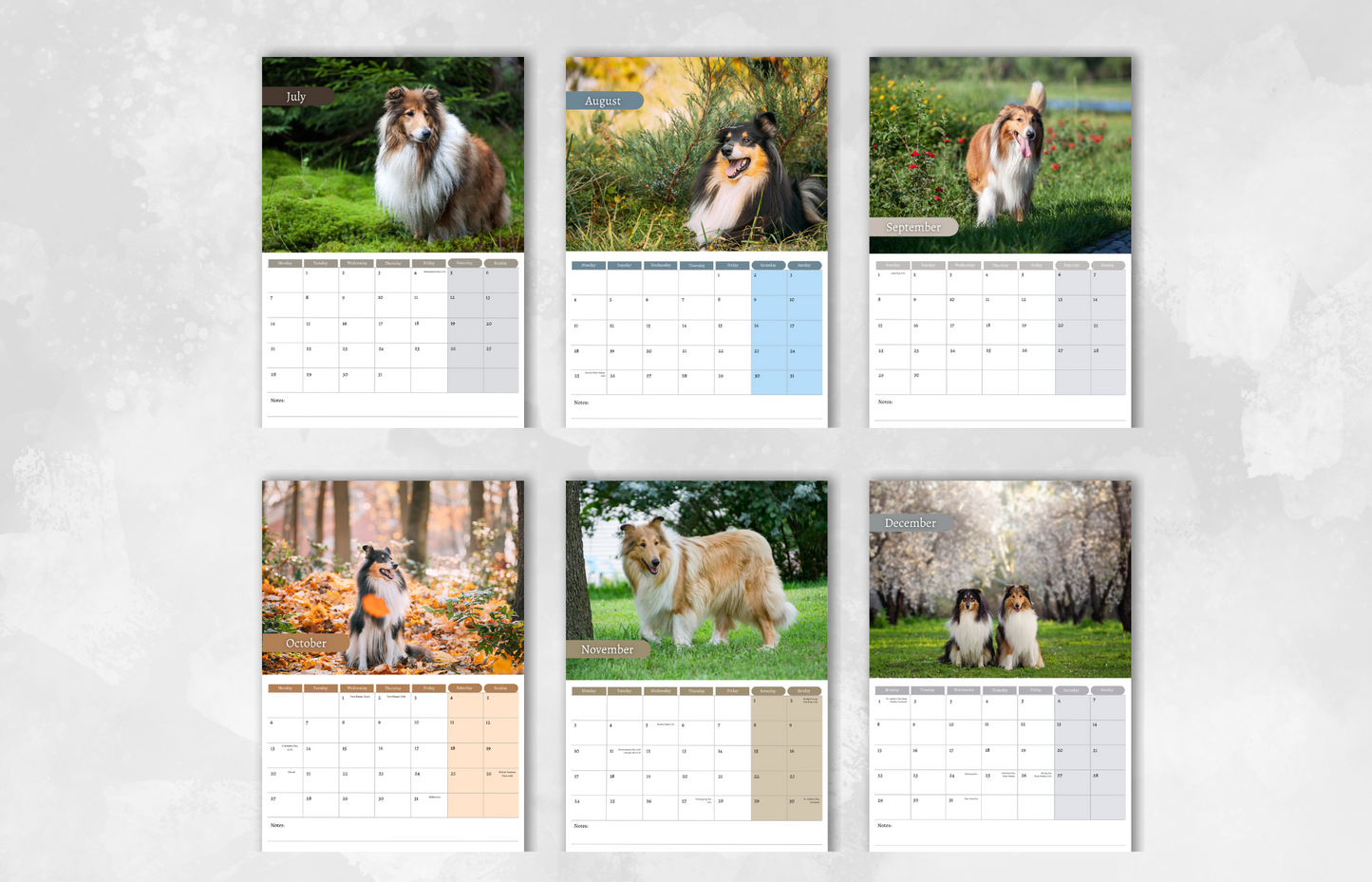 Collie Calendar 2025