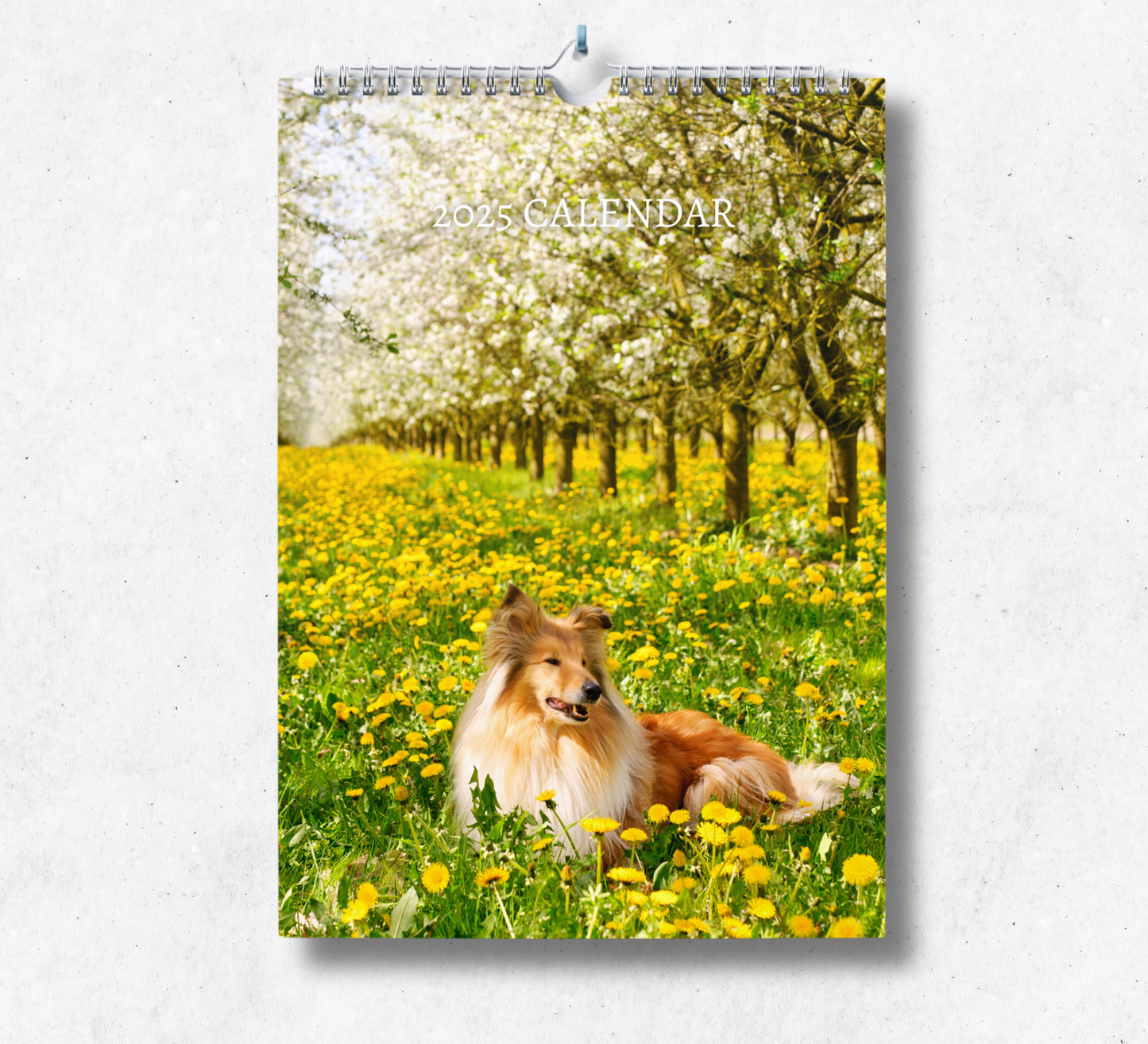 2025 Collie calendar featuring a beautiful light brown collie laying in a field surrounded by yellow flowers and blossoming white trees.