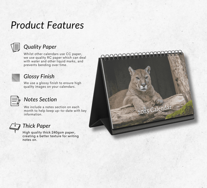 Cougar Desk Calendar 2025