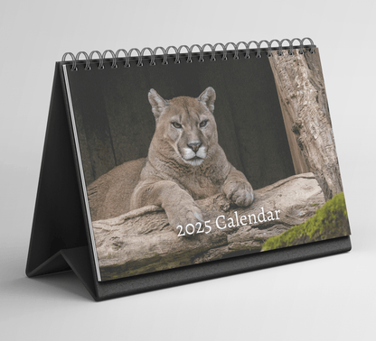 Cougar Desk Calendar 2025