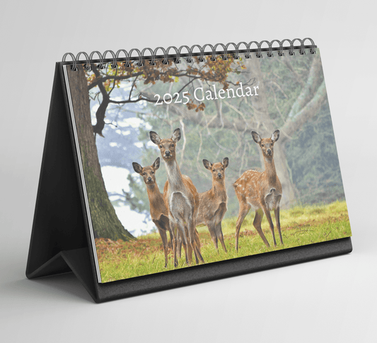 Deer Desk Calendar 2025