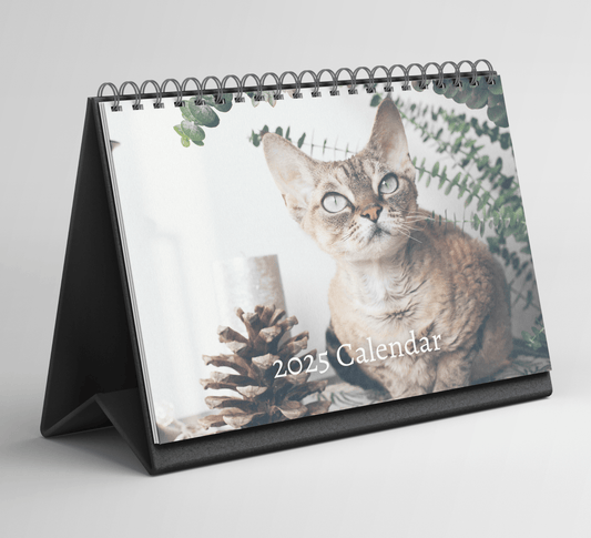 Devon Rex Desk Calendar 2025