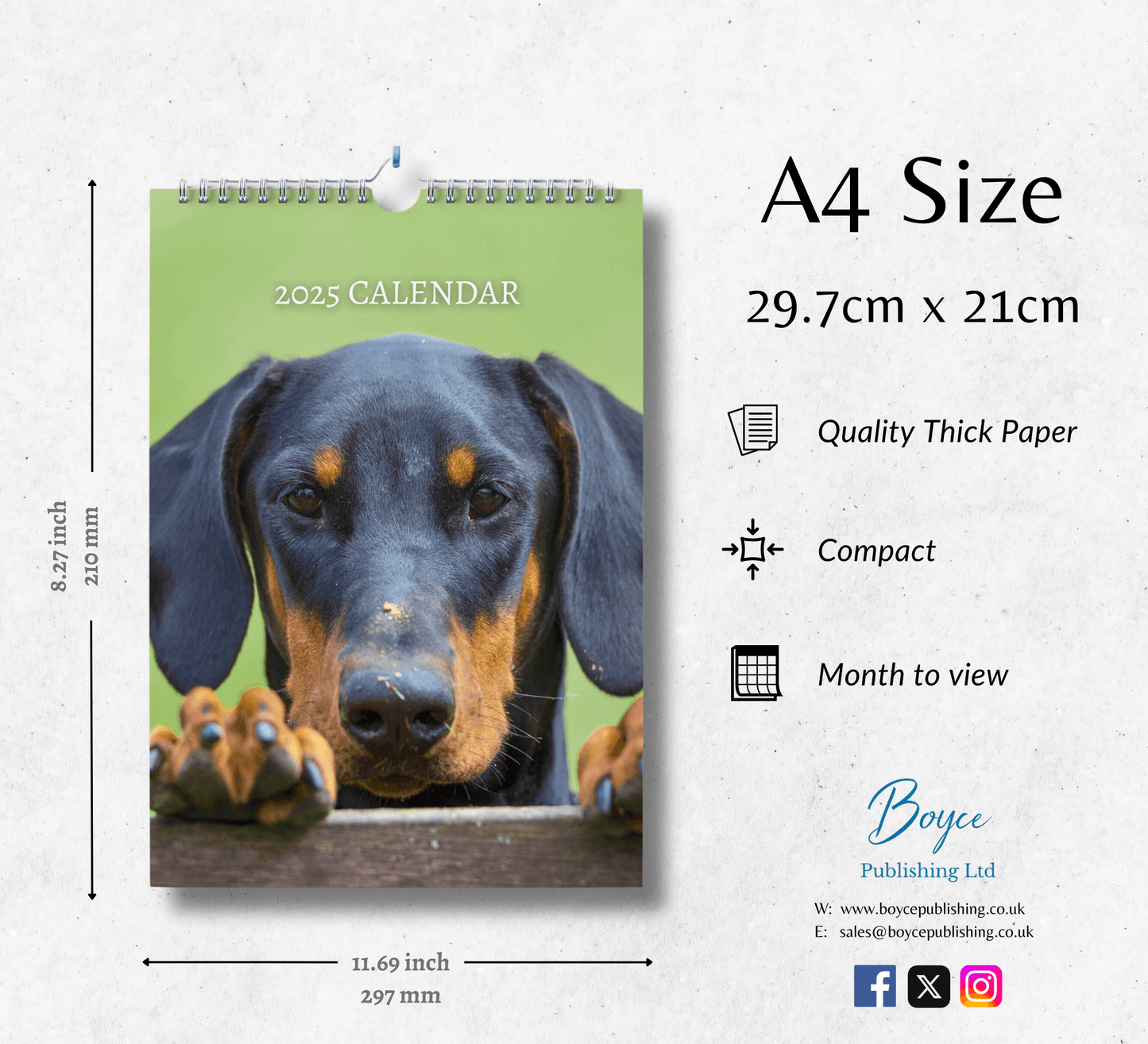 Dobermann Calendar 2025