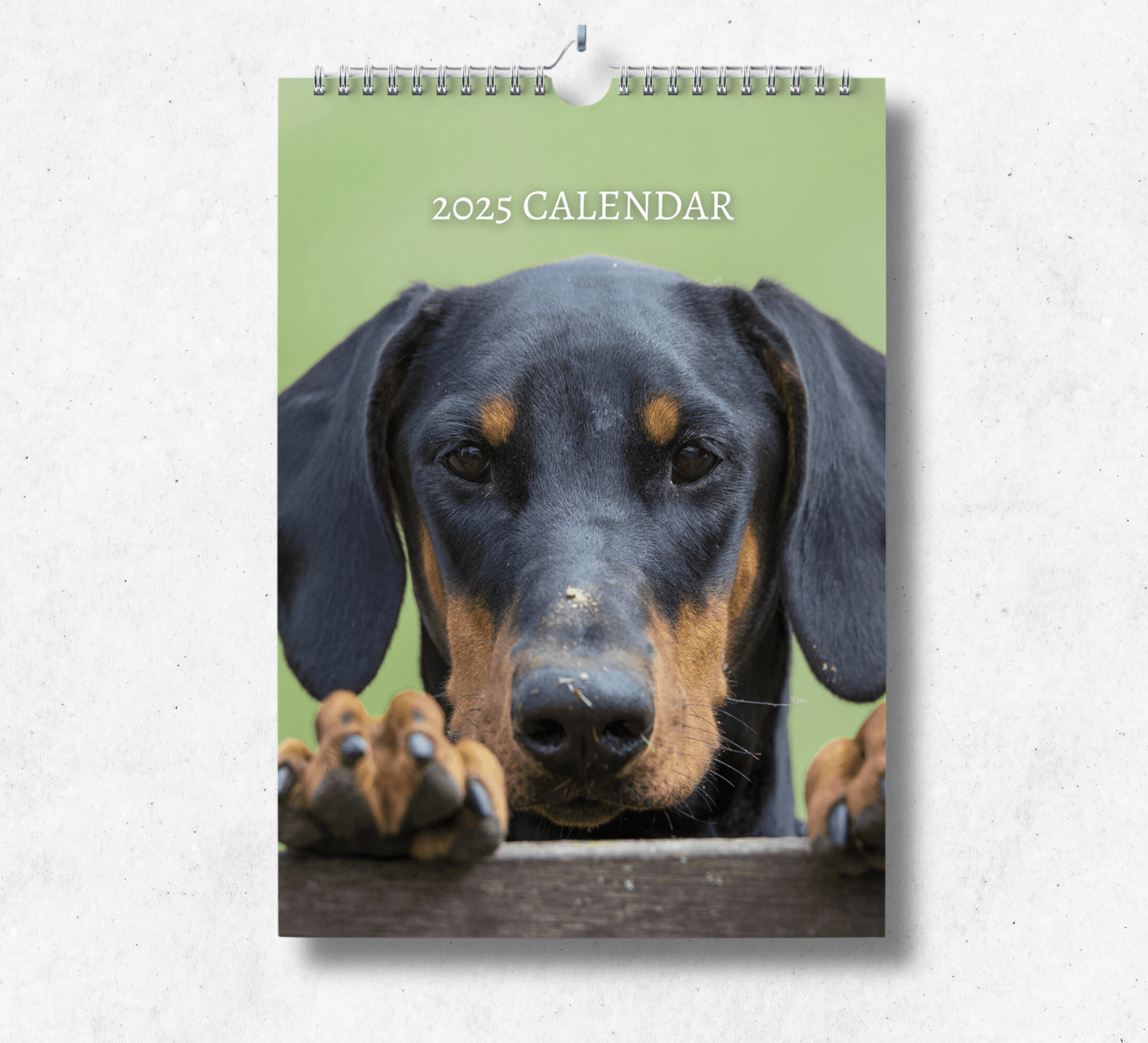 2025 dobermann calendar featuring the head of a dobermann perched up against a wooden fence.