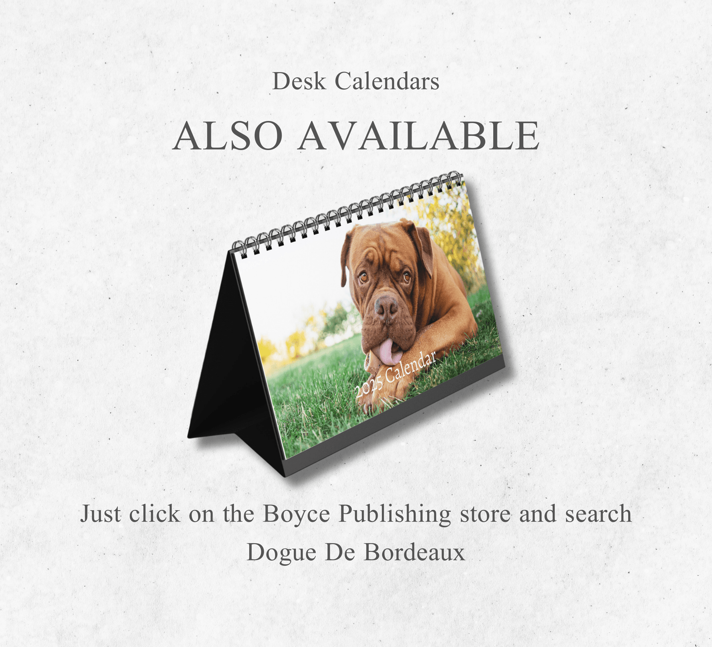 Dogue De Bordeaux Calendar 2025