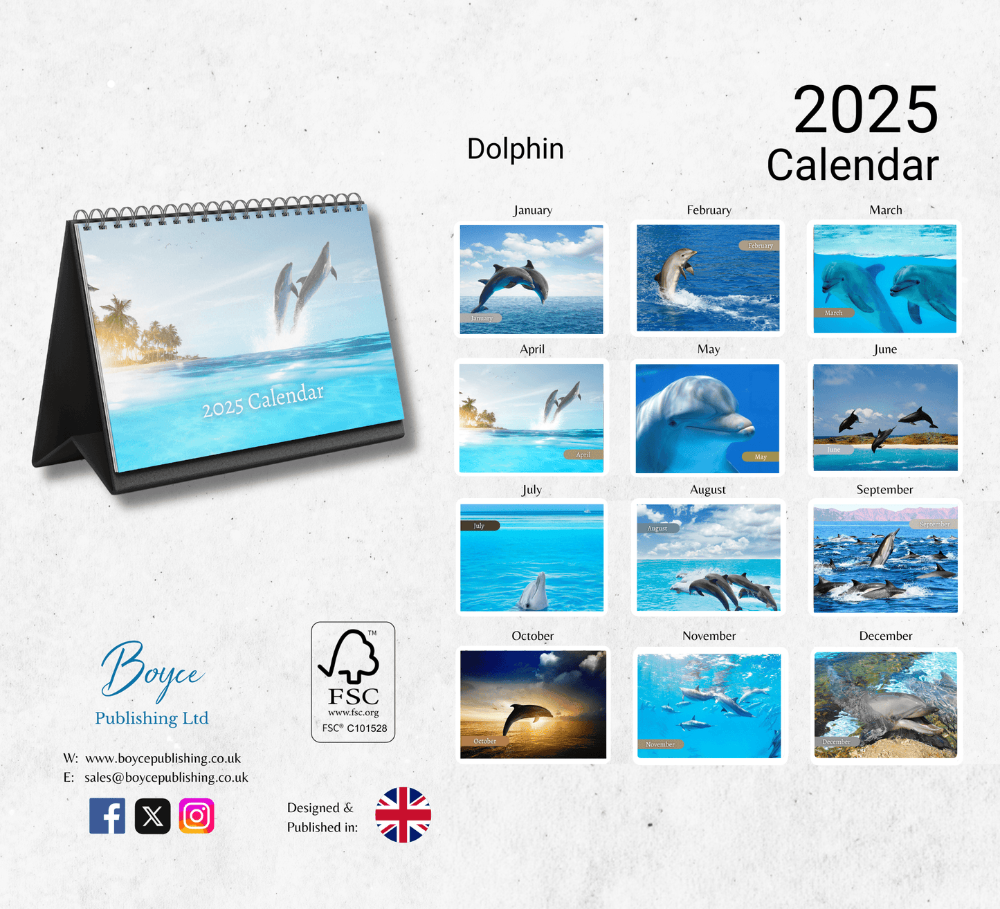 Dolphin Desk Calendar 2025