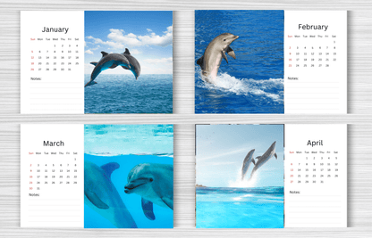 Dolphin Desk Calendar 2025