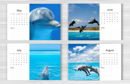 Dolphin Desk Calendar 2025