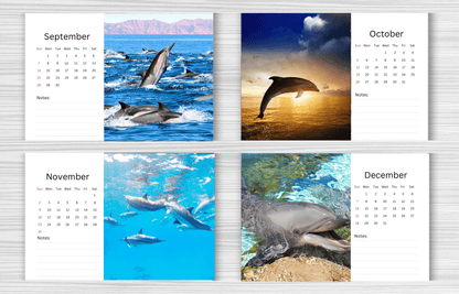 Dolphin Desk Calendar 2025