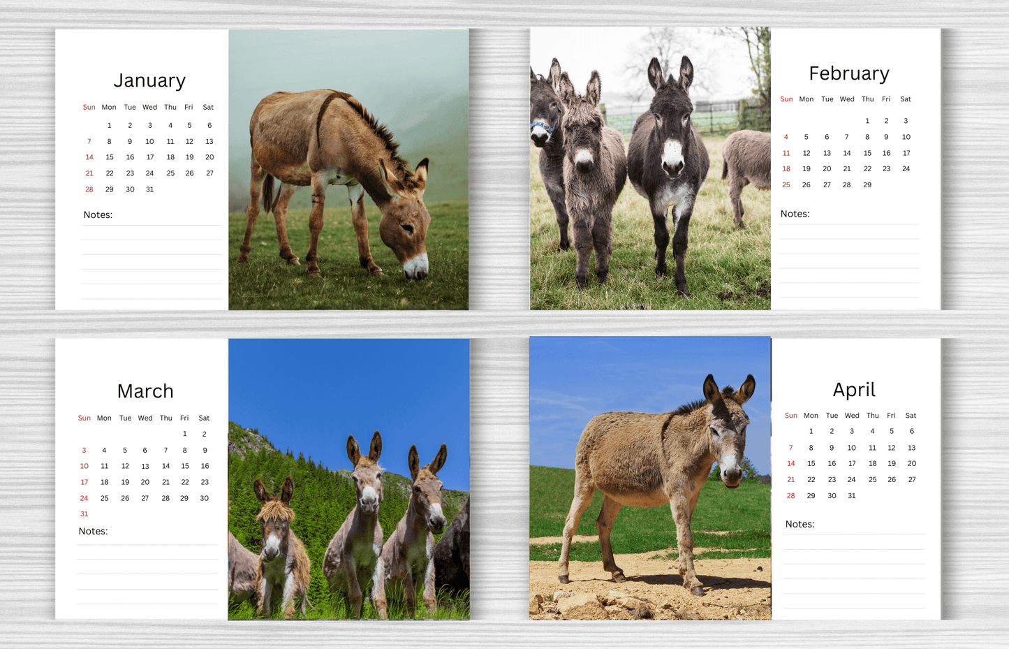 Donkey Desk Calendar 2025