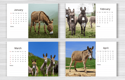 Donkey Desk Calendar 2025