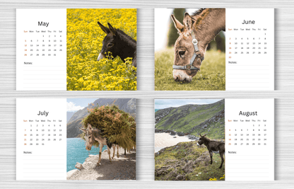 Donkey Desk Calendar 2025