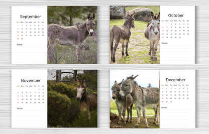 Donkey Desk Calendar 2025