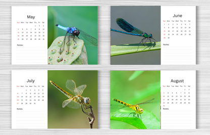 Dragonfly Desk Calendar 2025