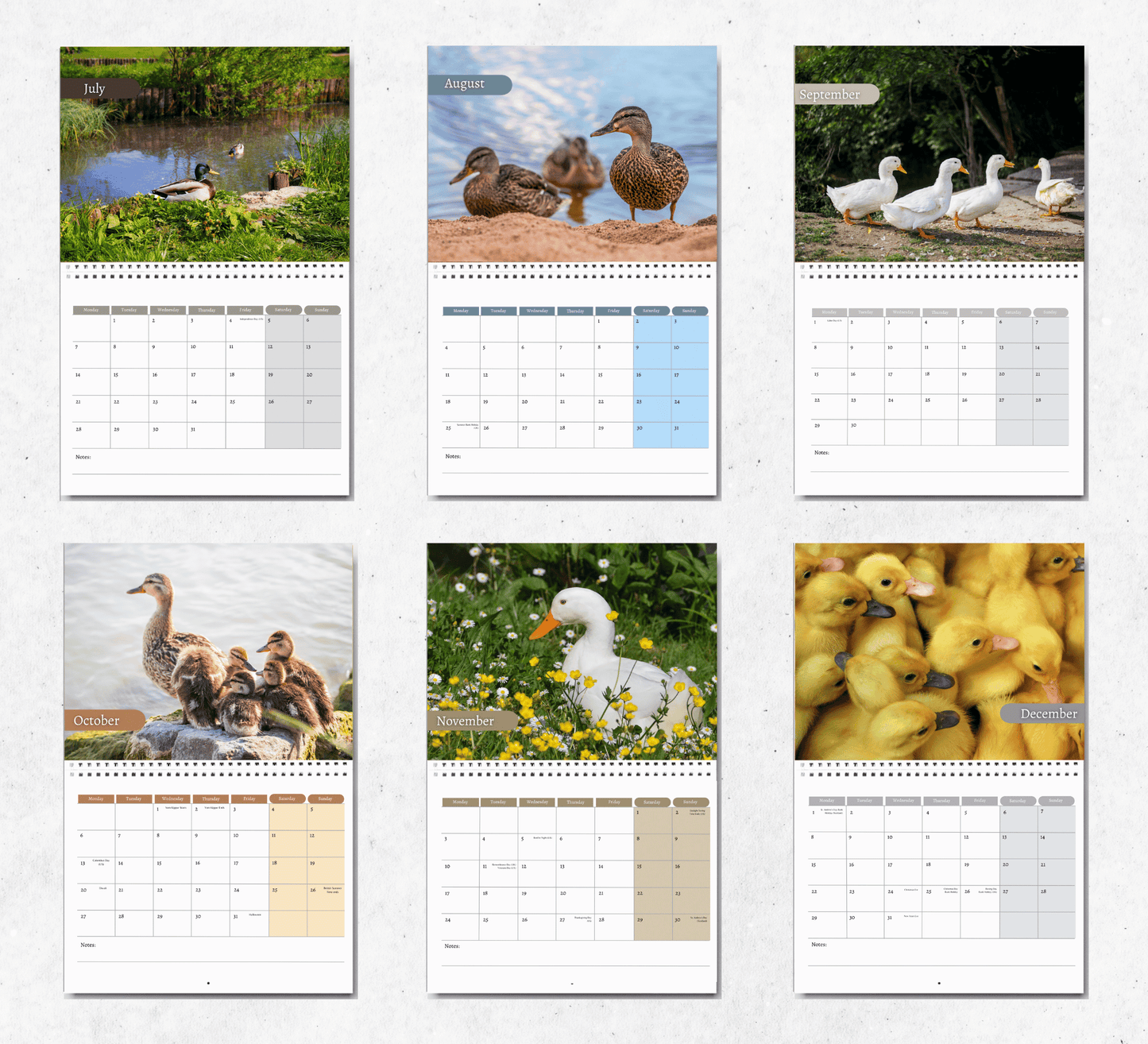 Duck Calendar 2025