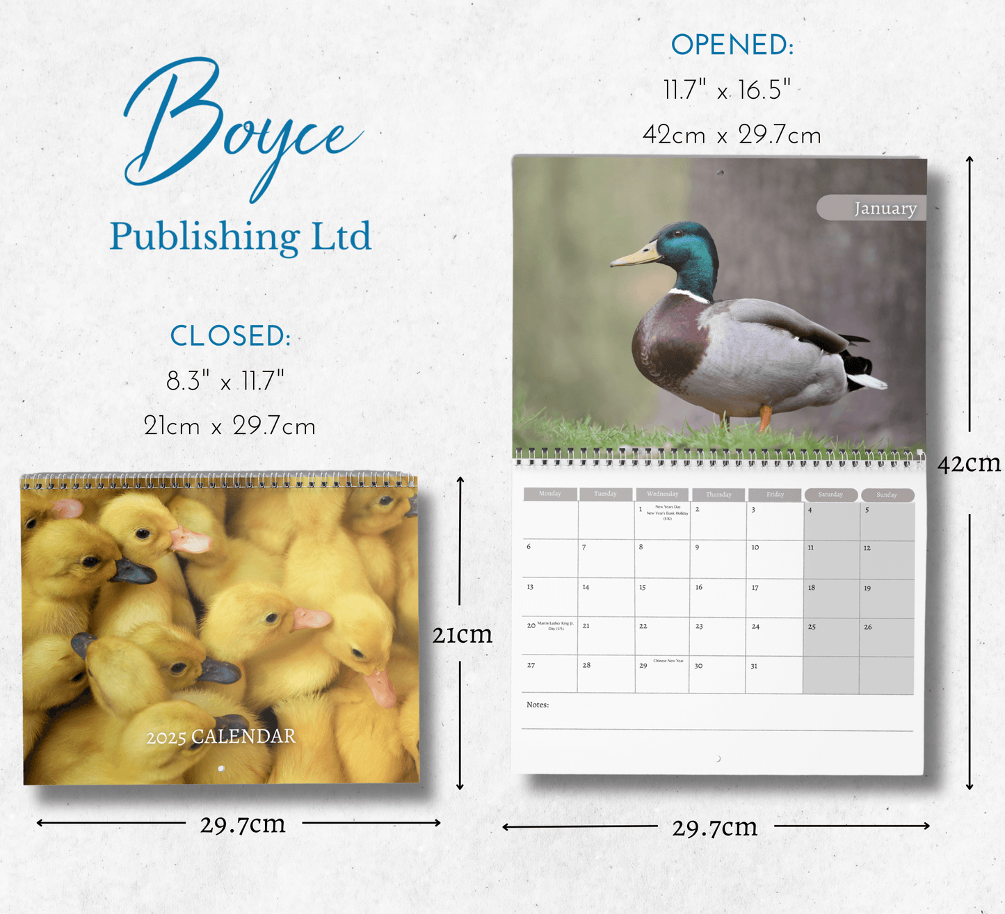 Duck Calendar 2025