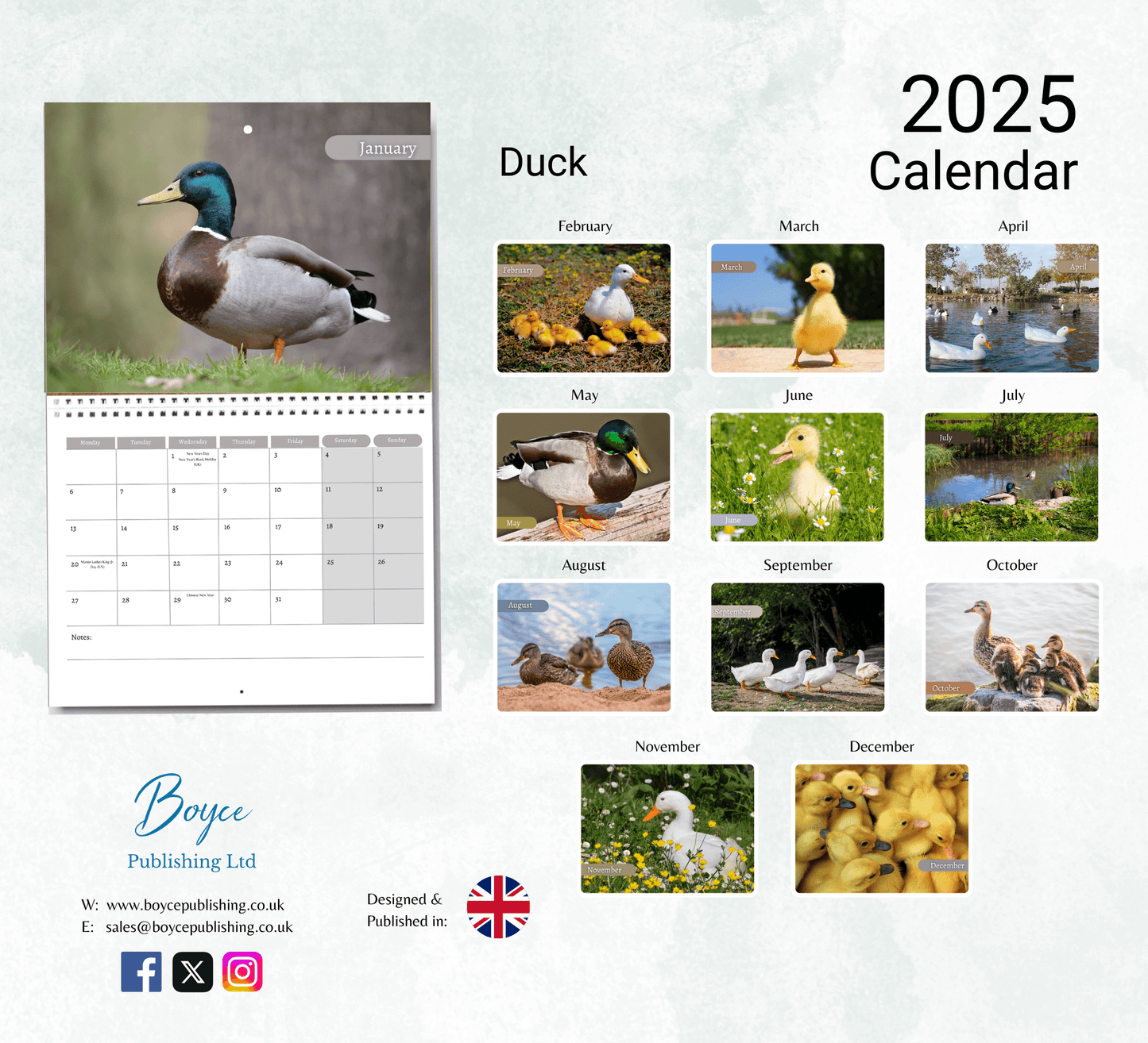 Duck Calendar 2025