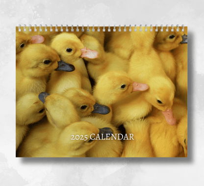 2025 Duck calendar featuring an image of a large number of cute yellow ducklings all snuggled up together.