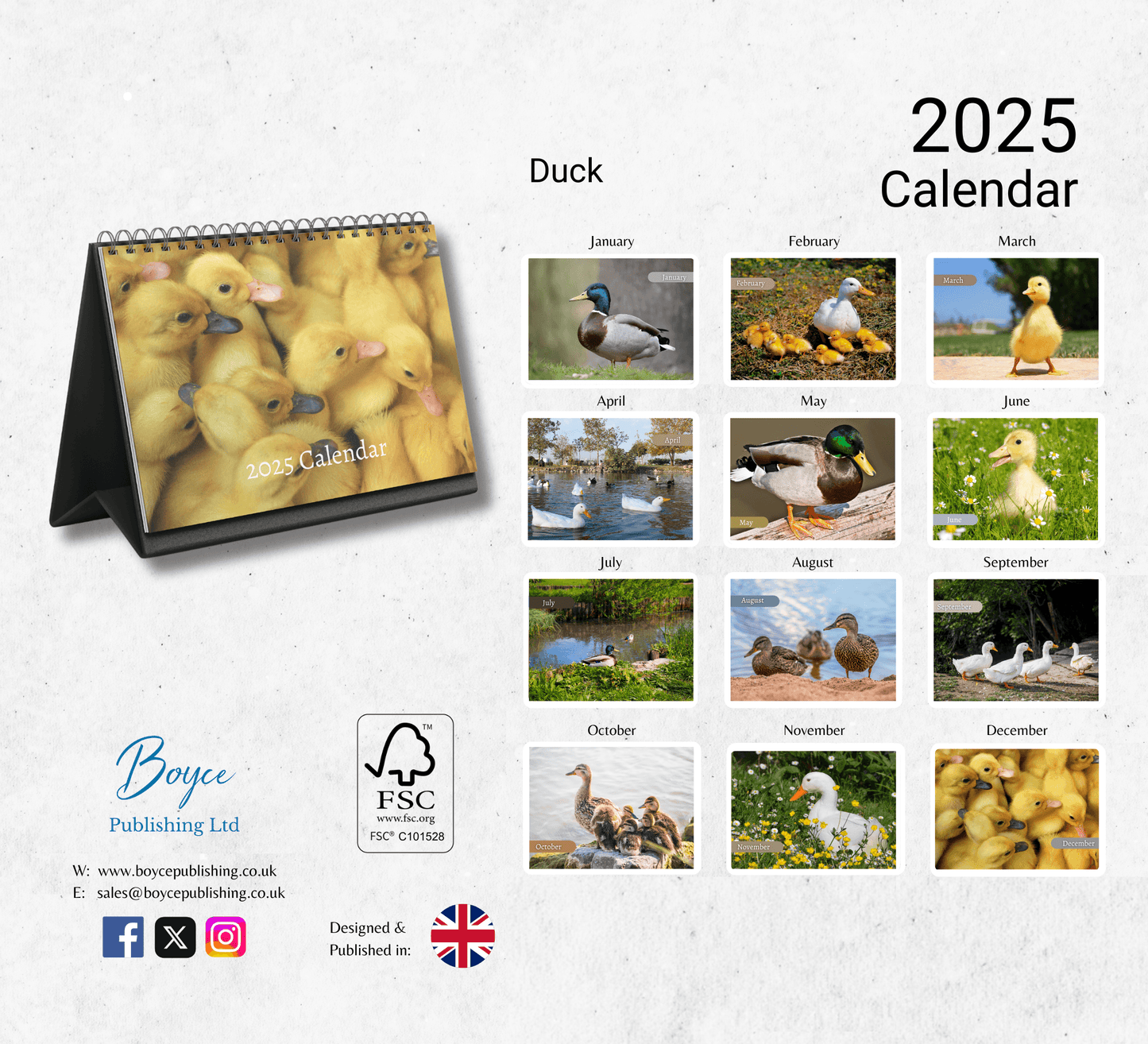 Duck Desk Calendar 2025