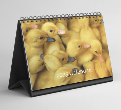 Duck Desk Calendar 2025