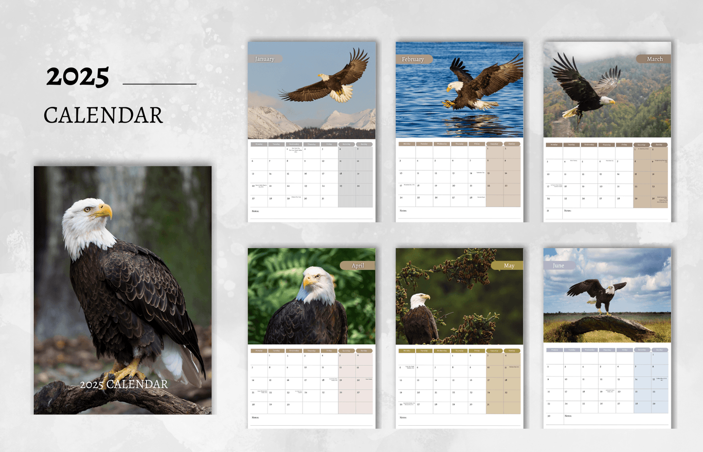 Eagle Calendar 2025