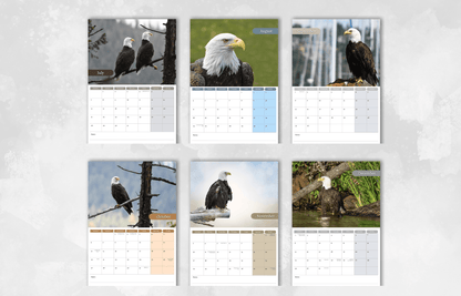 Eagle Calendar 2025