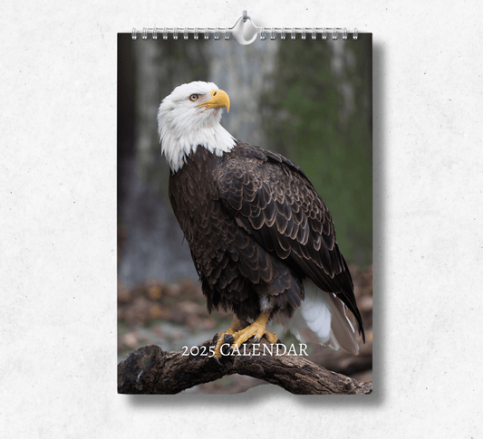 2025 Eagle calendar featuring an eagle standing on a tree branch, looking into the distance.