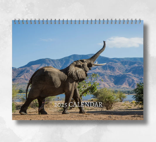 A large 2025 wall calendar featuring a majestic image of an elephant lifting up their trunk with a dry background surrounded by trees, a river, and a mountainous terrain in the far background. 