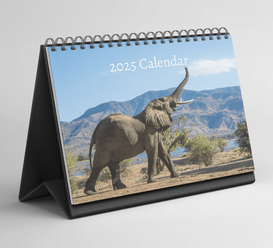 Elephant Desk Calendar 2025