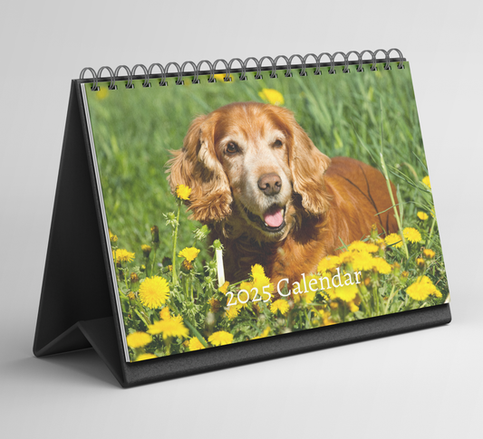 English Cocker Spaniel Desk Calendar 2025